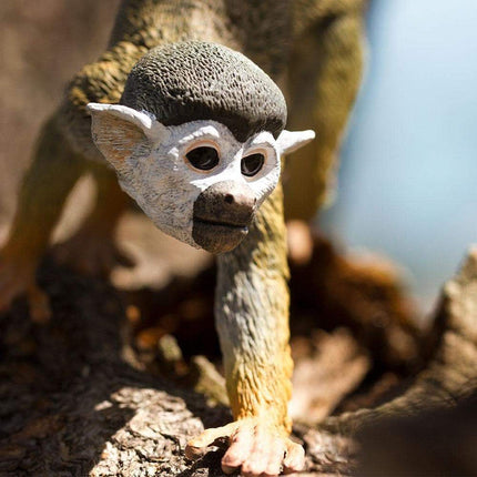 IC Squirrel Monkey