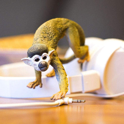 IC Squirrel Monkey