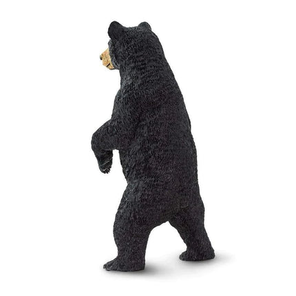 WSW Black Bear standing