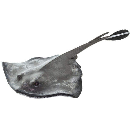 IC Sting Ray