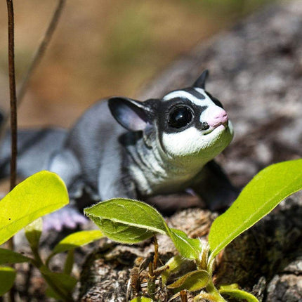 IC Sugar Glider