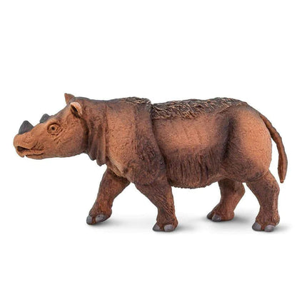 WSW Sumatran Rhino XXX