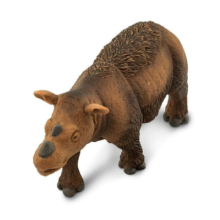 WSW Sumatran Rhino XXX