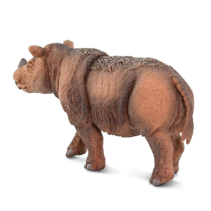 WSW Sumatran Rhino XXX