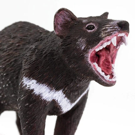 WSW Tasmanian Devil