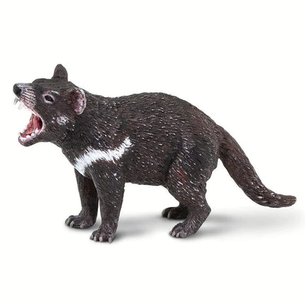 WSW Tasmanian Devil