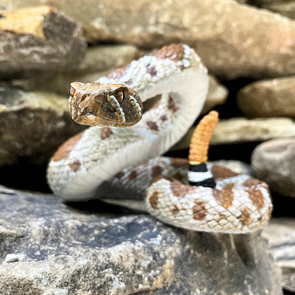 IC Western Diamondback Rattlesnake