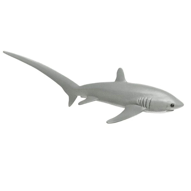 WSS Thresher Shark