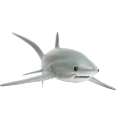 WSS Thresher Shark