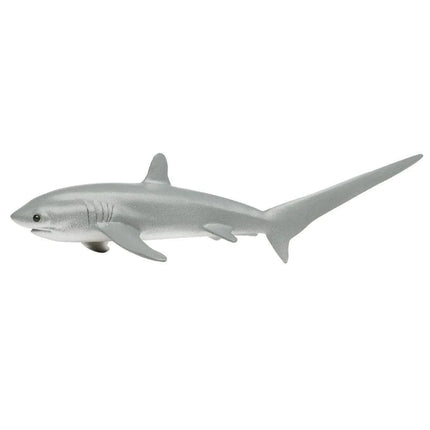 WSS Thresher Shark