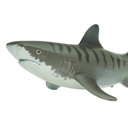 WSS Tiger Shark