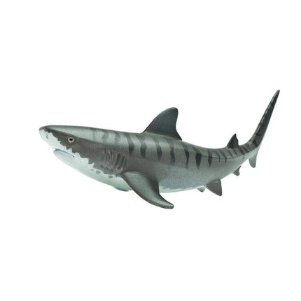 WSS Tiger Shark