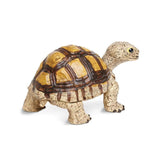 IC Tortoise small
