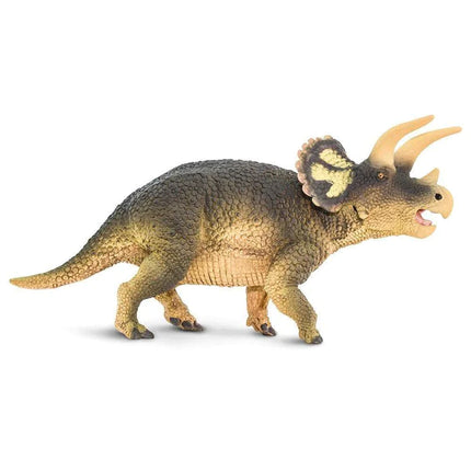 WSD Triceratops XXX