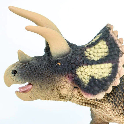 WSD Triceratops XXX