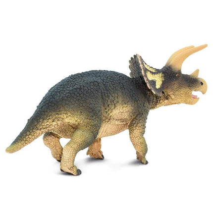 WSD Triceratops XXX