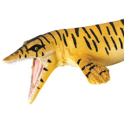 WSD Tylosaurus