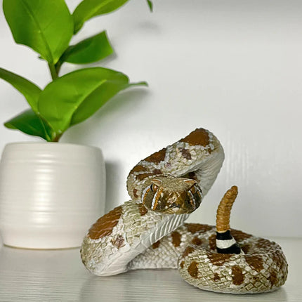 IC Western Diamondback Rattlesnake