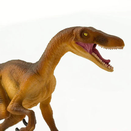 WSD Velociraptor