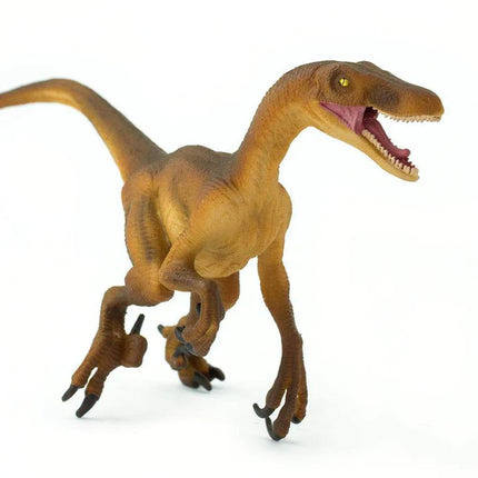 WSD Velociraptor