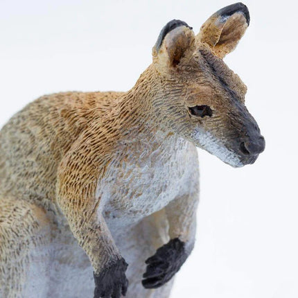 WSW Wallaby