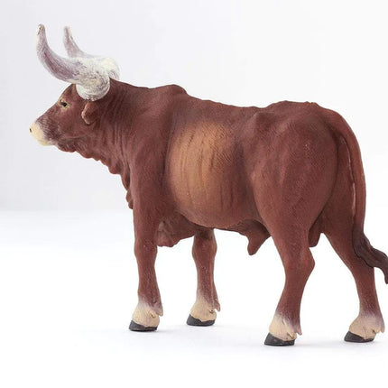 WSF Watusi Bull