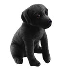 Black Labrador