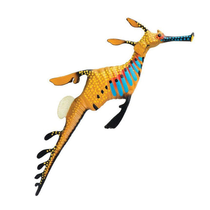 IC Weedy Seadragon