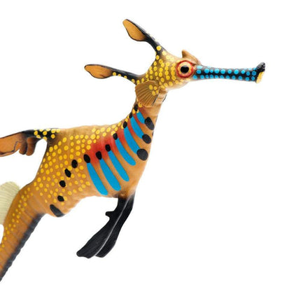 IC Weedy Seadragon