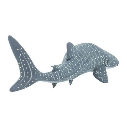 WSS Whale Shark small