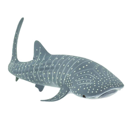 WSS Whale Shark small