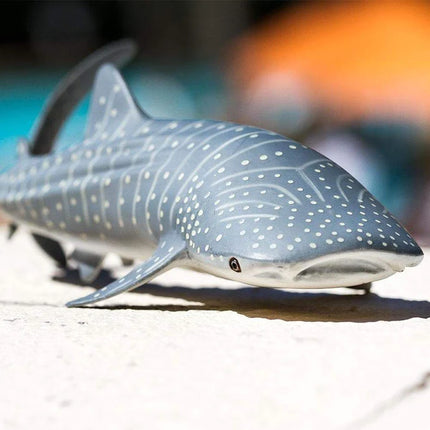 WSS Whale Shark small