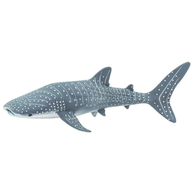 WSS Whale Shark small