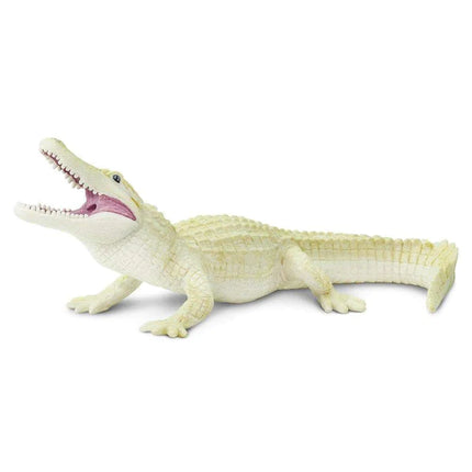 WSW White Alligator