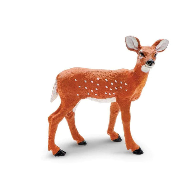 WSW Whitetail Fawn