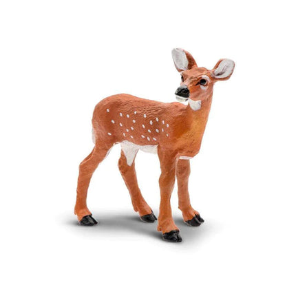 WSW Whitetail Fawn