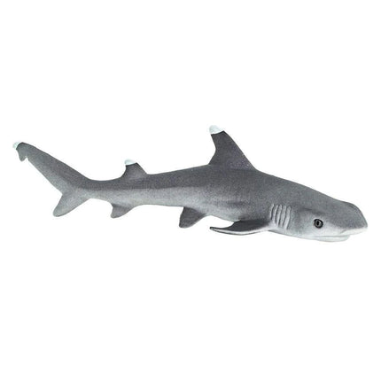 WSS Whitetip Reef Shark