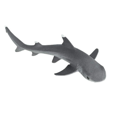 WSS Whitetip Reef Shark