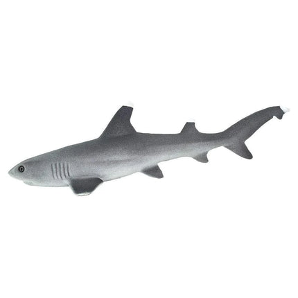 WSS Whitetip Reef Shark