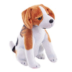 Beagle Dog