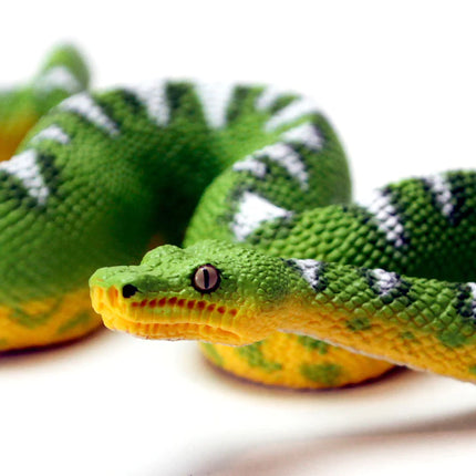 IC Emerald Tree Boa Snake