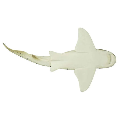 WSS Zebra Shark